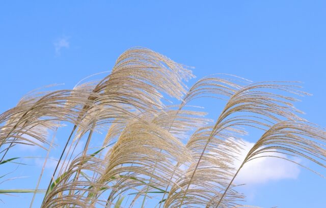レジェンドから学ぶたった一つの基本