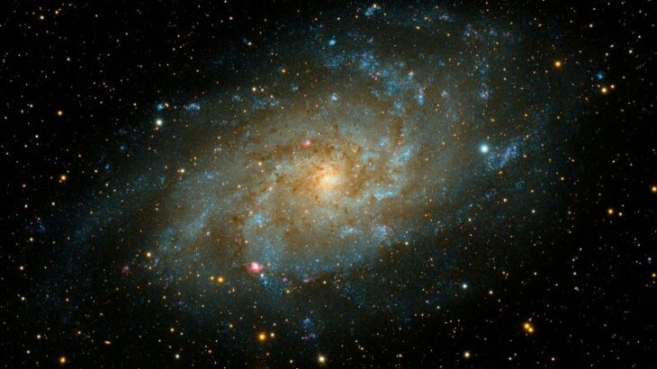 「この人のことはもう分かっている」は、ほんとうですか？