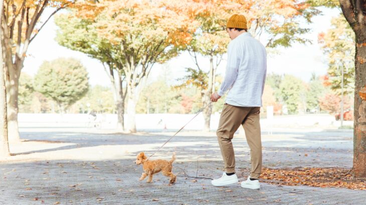 仕組みの力を使って3か月で別人へ